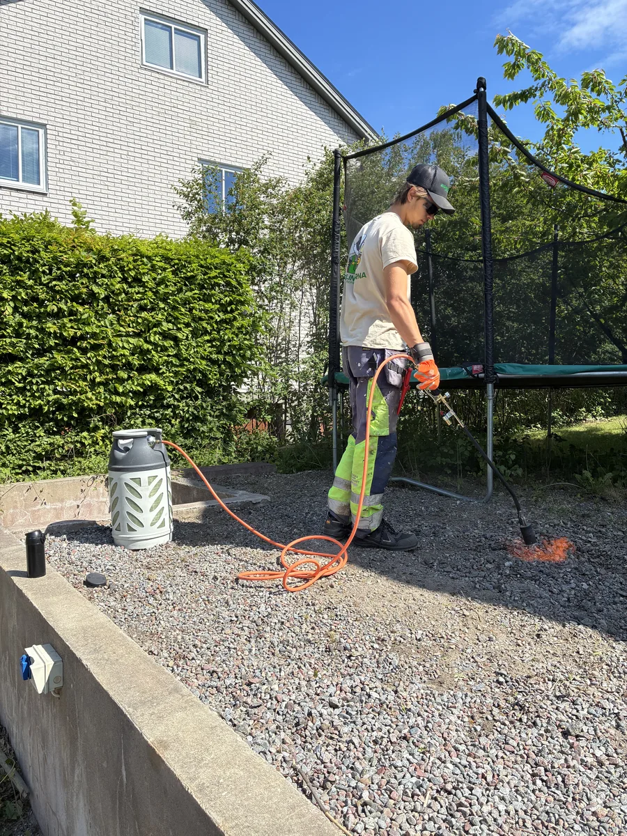 Ogräsbränning